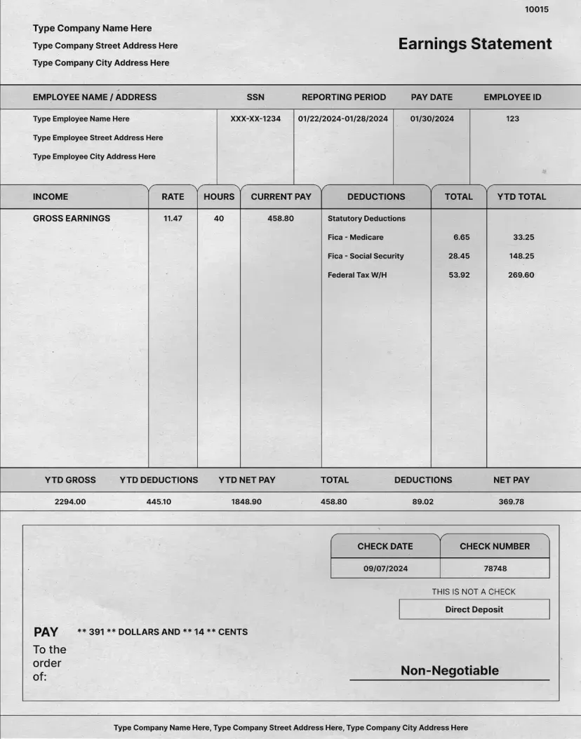 Classic Paystub Template